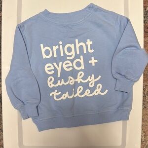 Kids Blue Bunny Sweatshirt never been worn only washed